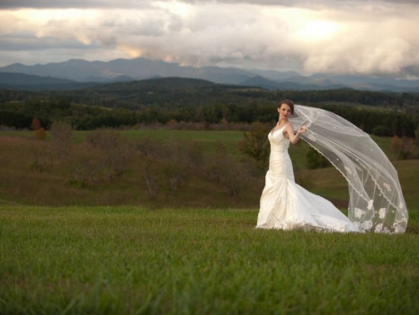 Chattooga Belle Farm