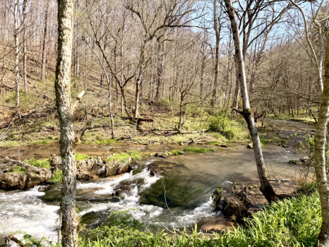 Rooster Run Venue