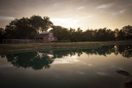 Photo of Firefly Gardens