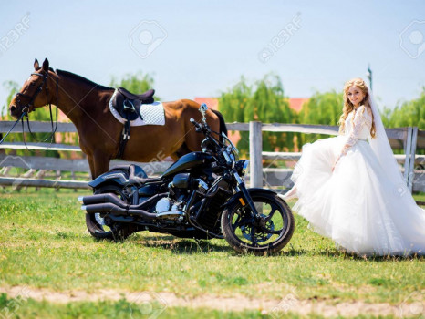 North Texas Equestrian Center