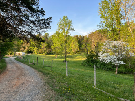 Forest Farms