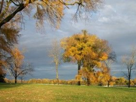 Newstead On The James llc