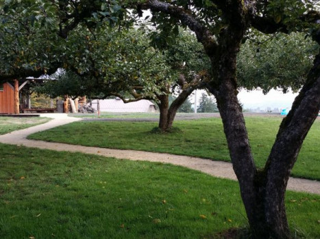 The Orchard at Sunshine Hill