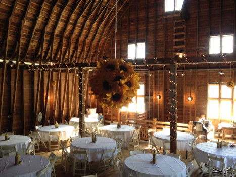 Willapa Hills Farm