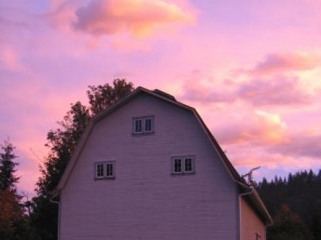 Willapa Hills Farm