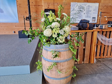 Cold Country Vines & Wines